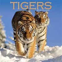 Tigers Calendar 2016