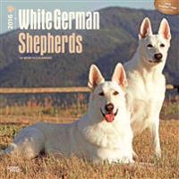 White German Shepherds 2016 - Weiße Schäferhunde - 18-Monatskalender mit freier DogDays-App