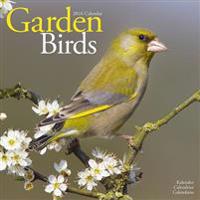 Garden Birds Calendar 2016