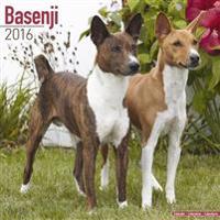 Basenji Calendar 2016