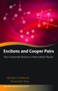 Excitons and Cooper Pairs