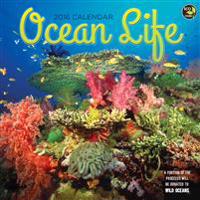 Ocean Life 2016 Calendar