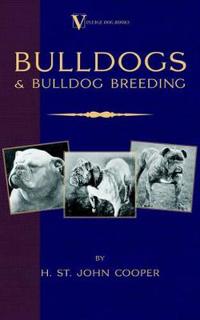 Bulldogs and Bulldog Breeding