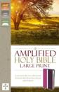 Amplified Holy Bible, Large Print, Leathersoft, Pink/Purple