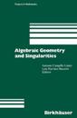 Algebraic Geometry and Singularities
