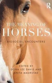 The Meaning of Horses