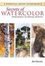 Secrets of Watercolor - From Basics to Special Effects