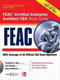 FEAC Certified Enterprise Architect CEA