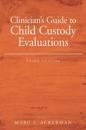 Clinician's Guide to Child Custody Evaluations, 3rd Edition