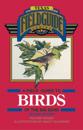 Field Guide to Birds of the Big Bend