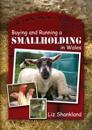 Practical Guide to Buying and Running a Smallholding in Wales