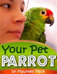 Your Pet Parrot