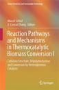 Reaction Pathways and Mechanisms in Thermocatalytic Biomass Conversion I