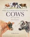 Illustrated Guide to Cows