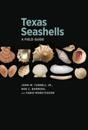 Texas Seashells