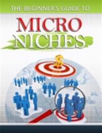 Beginners Guide to Micro Niches