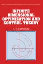 Infinite Dimensional Optimization and Control Theory
