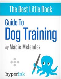 Dog Training: How to Tame a Dog Like Cesar Millan