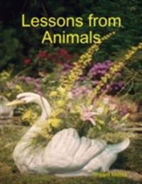 Lessons from Animals