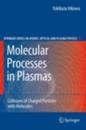 Molecular Processes in Plasmas