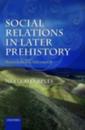 Social Relations in Later Prehistory