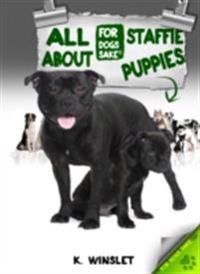 All About Staffordshire Bull Terrier Puppies