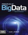 Principles of Big Data