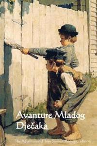 Avanture Mladog Djecaka: The Adventures of Tom Sawyer (Bosnian Edition)
