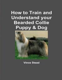 How to Train and Understand Your Bearded Collie Puppy & Dog