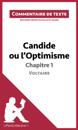 Candide ou l''Optimisme de Voltaire - Chapitre 1