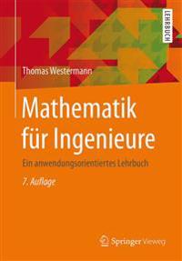 Mathematik Für Ingenieure: Ein Anwendungsorientiertes Lehrbuch
