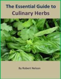 Essential Guide to Culinary Herbs