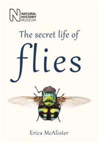 Secret life of flies