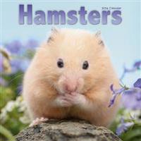 Hamsters Calendar 2016