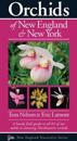 Orchids of New England & New York
