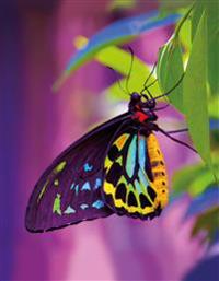 Butterfly Blankbook