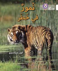 Tigers in Danger