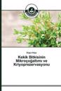 Kekik Bitkisinin Mikroçogaltimi ve Kriyoprezervasyonu