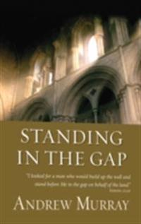 Standing in the Gap (eBook)