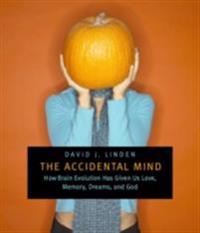 THE ACCIDENTAL MIND