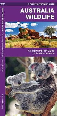 Australian Wildlife: A Folding Pocket Guide to Familiar Species