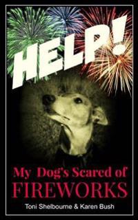 Help! My Dog Is Scared of Fireworks