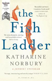 Fish ladder - a journey upstream