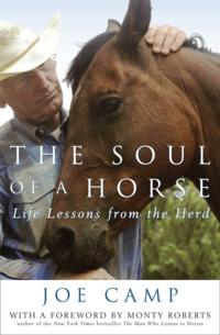 Soul of a Horse