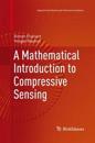 A Mathematical Introduction to Compressive Sensing