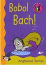 Cyfres Darllen Mewn Dim - Cam Rwdlan: Bobol Bach!