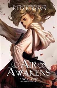 Air Awakens (Air Awakens Series Book 1)