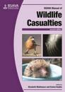 BSAVA Manual of Wildlife Casualties