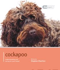 Cockapoo - Dog Expert