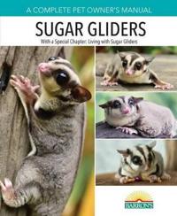 Sugar Gliders
